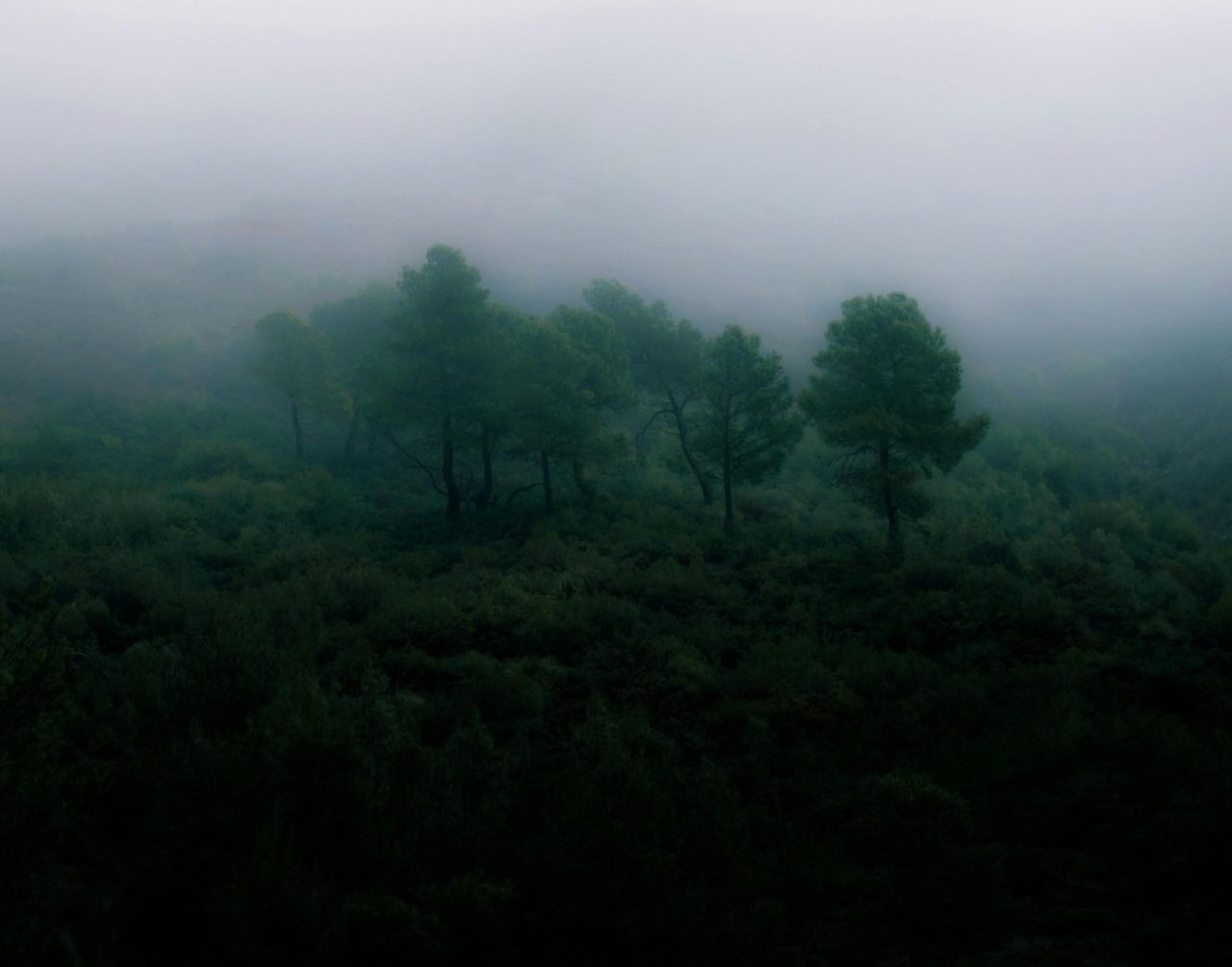 a serene image to aid in meditation, a sense of stillness