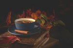 autumn's season changes on the body
