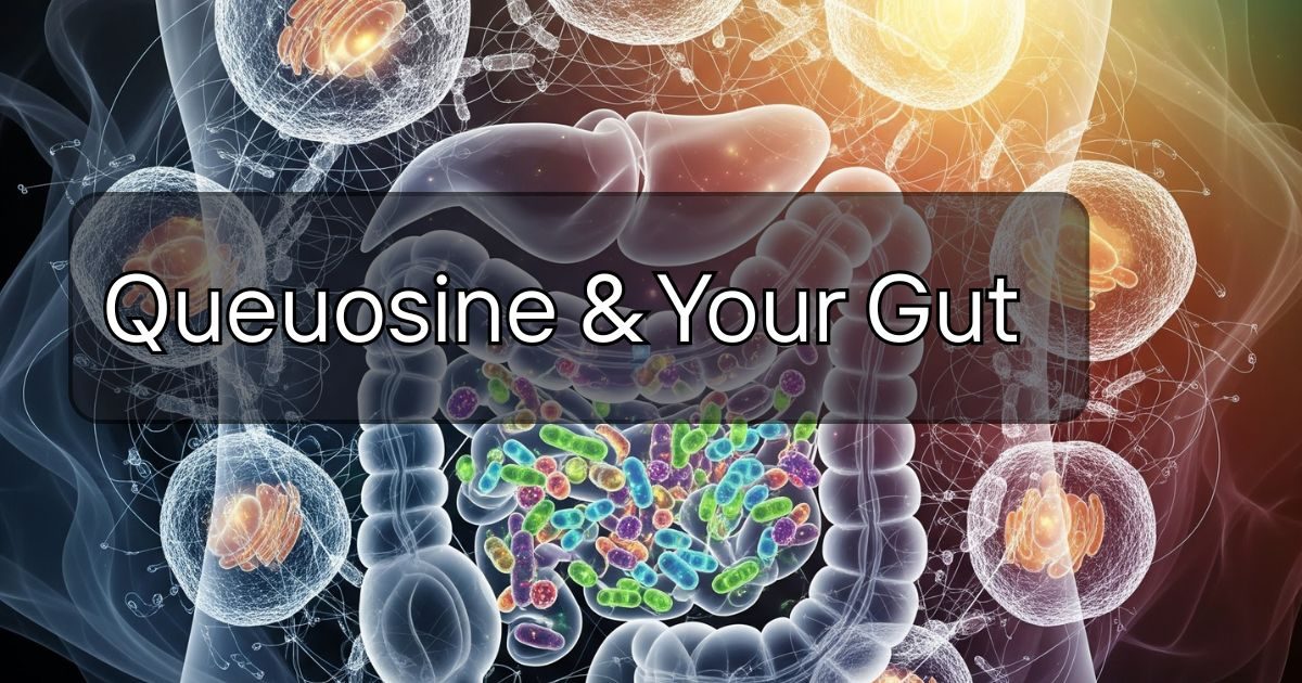 queuosine and gut health