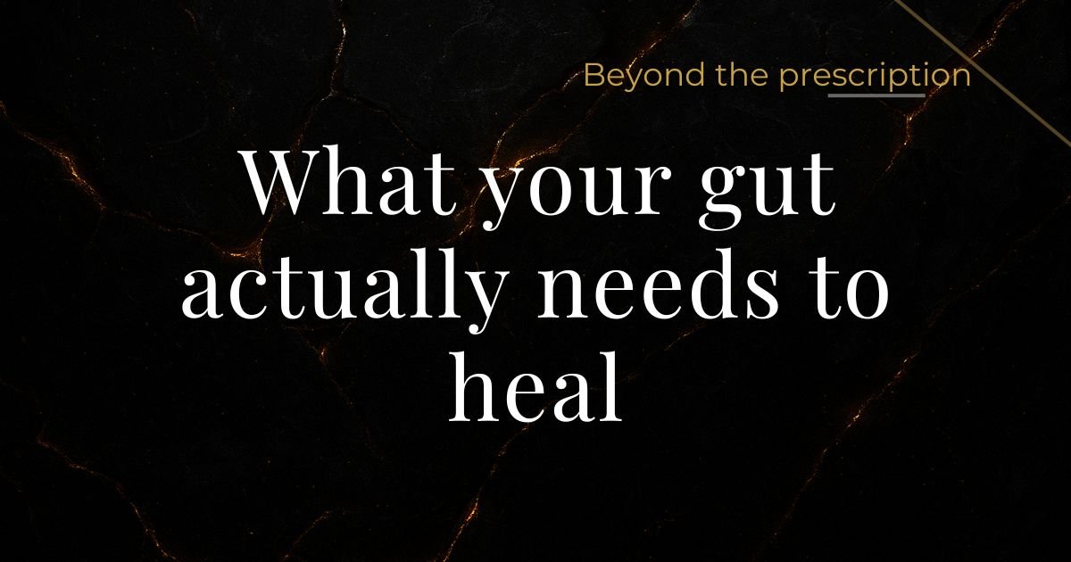 how to use fermented foods to improve gut health and reduce chronic inflammation